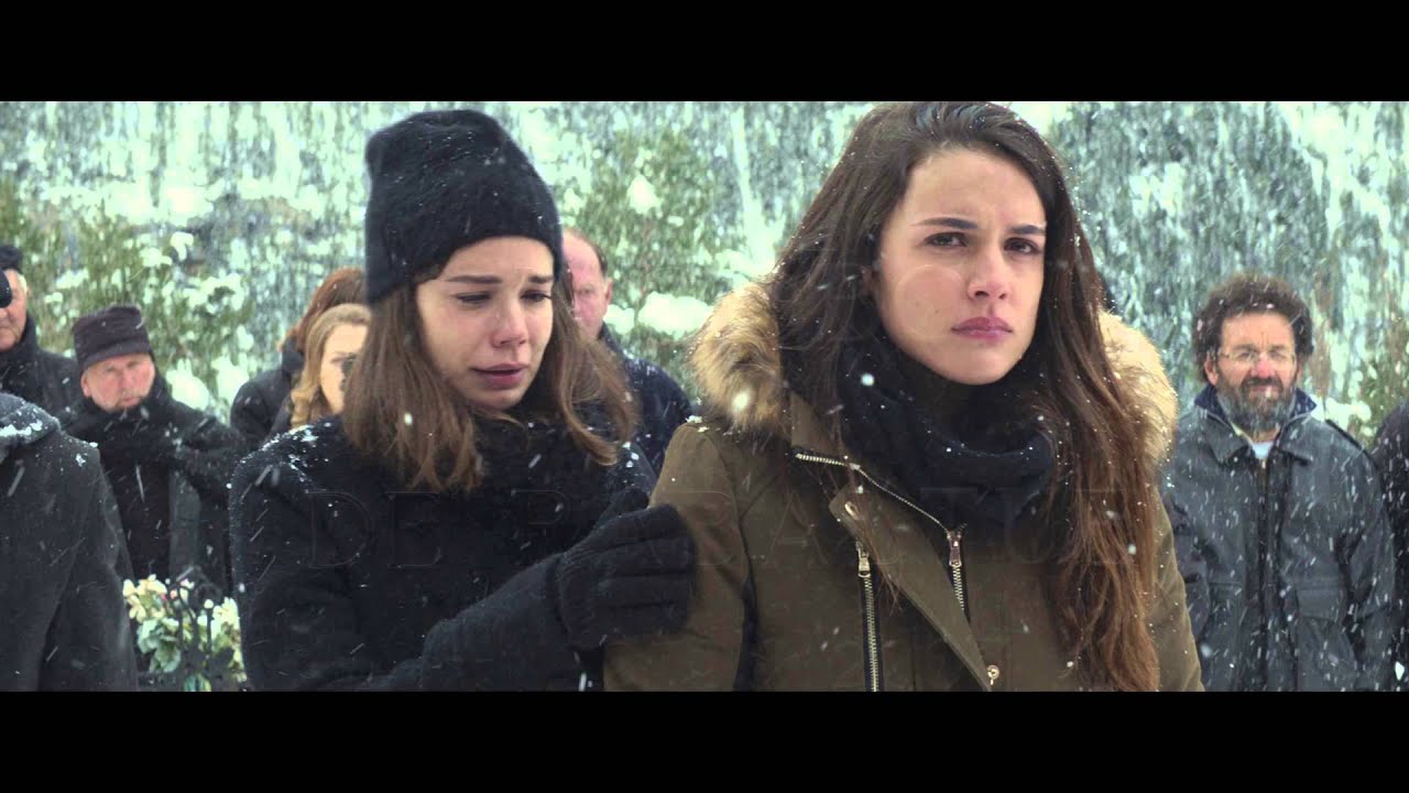 Palm Trees in the Snow Trailer